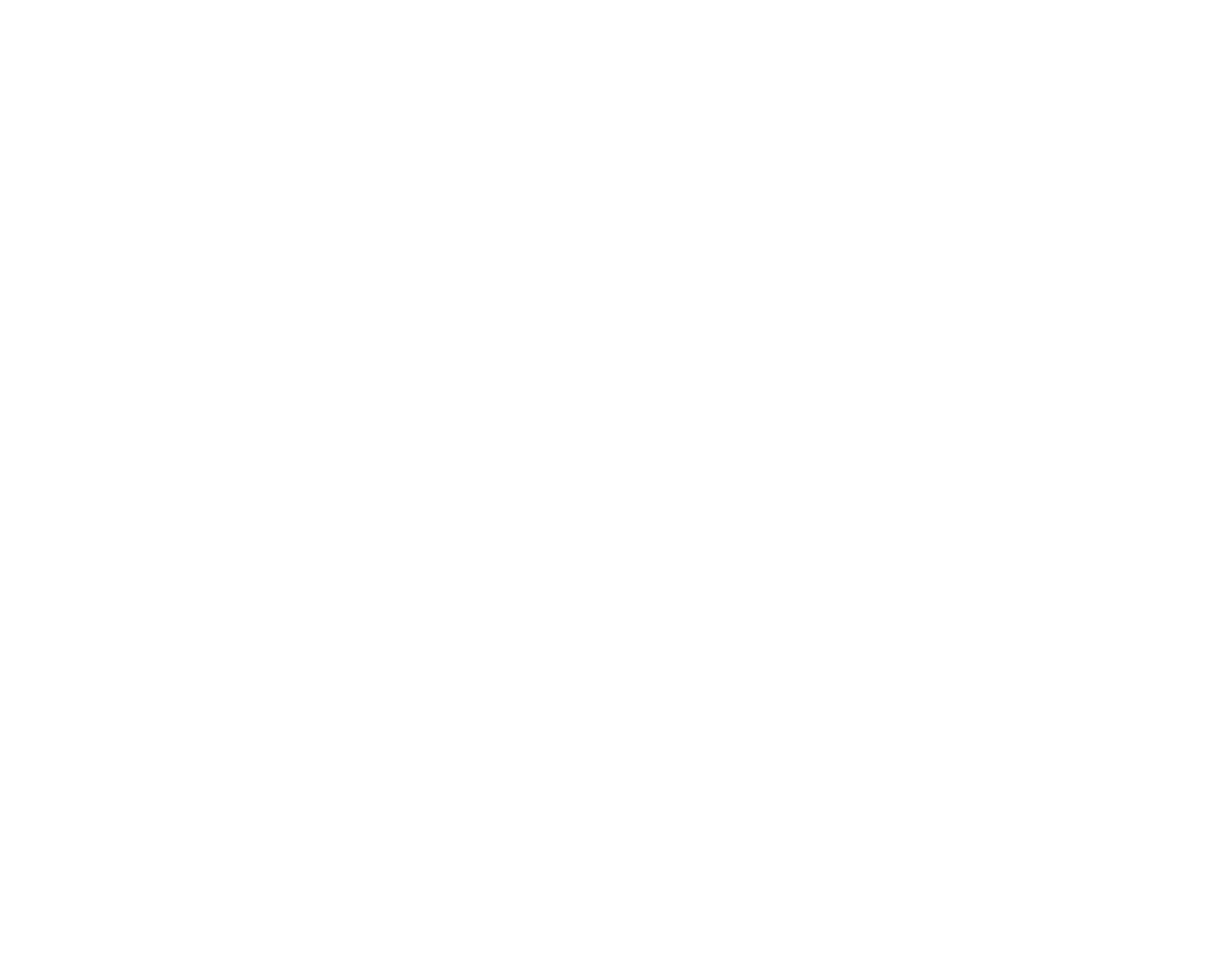 Agencia Aduanera Enrique Chicas